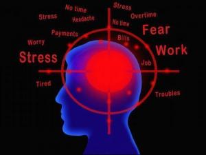 Какие гормоны стресса выделяет организм